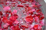 petali di rosa rossa